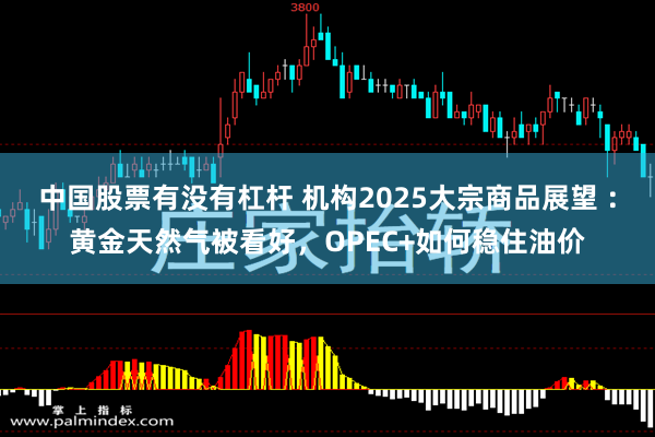 中国股票有没有杠杆 机构2025大宗商品展望 :黄金天然气被看好,OPEC+如何稳住油价
