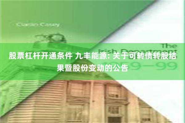 股票杠杆开通条件 九丰能源: 关于可转债转股结果暨股份变动的公告