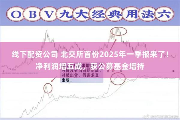 线下配资公司 北交所首份2025年一季报来了！净利润增五成，获公募基金增持