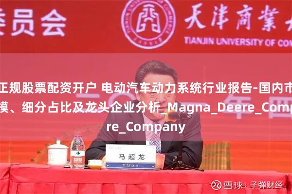 正规股票配资开户 电动汽车动力系统行业报告-国内市场规模、细分占比及龙头企业分析_Magna_Deere_Company