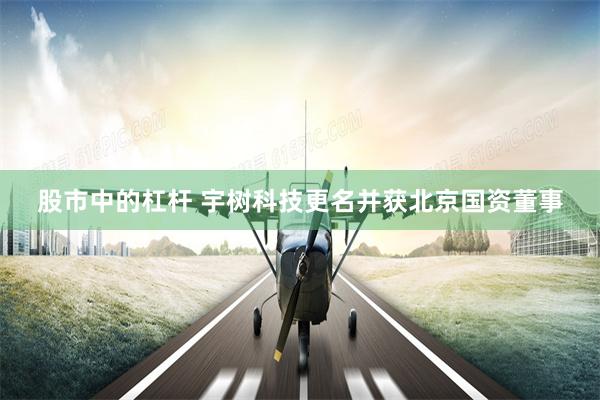 股市中的杠杆 宇树科技更名并获北京国资董事