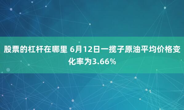 股票的杠杆在哪里 6月12日一揽子原油平均价格变化率为3.66%