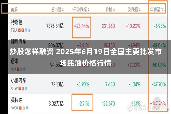 炒股怎样融资 2025年6月19日全国主要批发市场蚝油价格行情