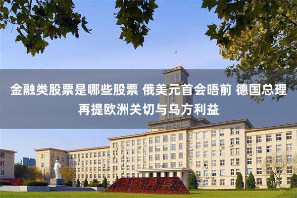 金融类股票是哪些股票 俄美元首会晤前 德国总理再提欧洲关切与乌方利益
