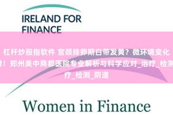 杠杆炒股指软件 宫颈排卵期白带发黄?微环境变化是关键!郑州美中商都医院专业解析与科学应对_治疗_检测_阴道