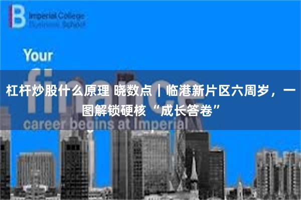 杠杆炒股什么原理 晓数点|临港新片区六周岁,一图解锁硬核 “成长答卷”