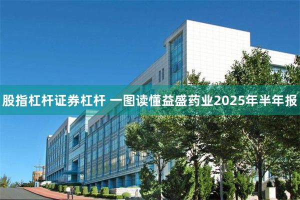 股指杠杆证券杠杆 一图读懂益盛药业2025年半年报