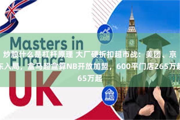炒股什么是杠杆原理 大厂硬折扣超市战:美团、京东入局,盒马超盒算NB开放加盟,600平门店265万起