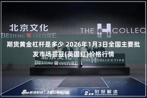 期货黄金杠杆是多少 2026年1月3日全国主要批发市场芸豆(英国红)价格行情